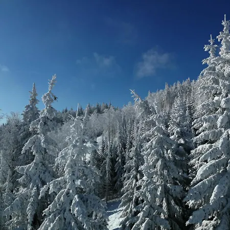 Rogla Lukanja 2 Oplotnica