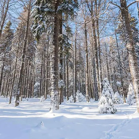 Rogla Lukanja 2 Oplotnica
