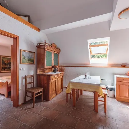 Apartman Rogla Lukanja 2 Oplotnica
