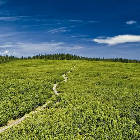 Rogla Lukanja 2