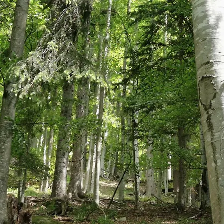 Rogla Lukanja 2 Apartman *